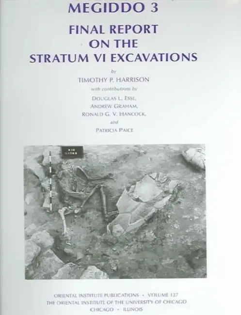 Megiddo 3: Final Report on the Stratum VI Excavations by Timothy Harrison
