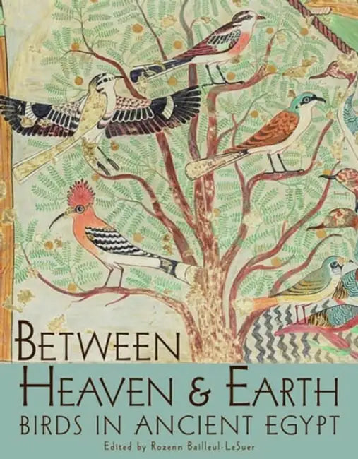 Between Heaven and Earth: Birds in Ancient Egypt by Rozenn Bailleul-Lesuer