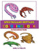 Spectacular Reptiles Coloring Book: An Educational Guide by Earl R. Phelps