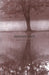 Monkscript: Literature, Arts & Spirituality by Bernadette Dieker