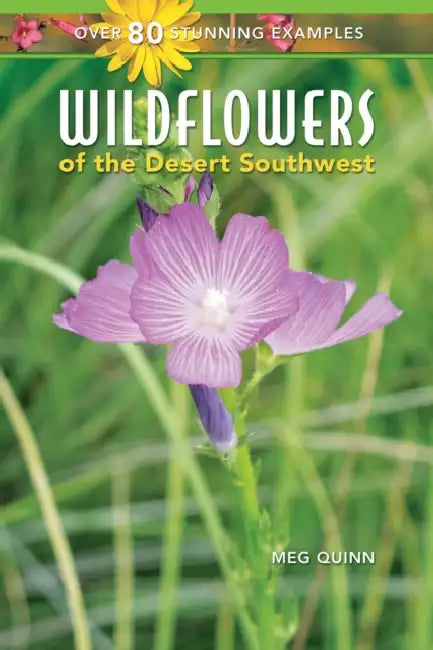 Wildflowers of the Desert Southwest by Meg Quinn
