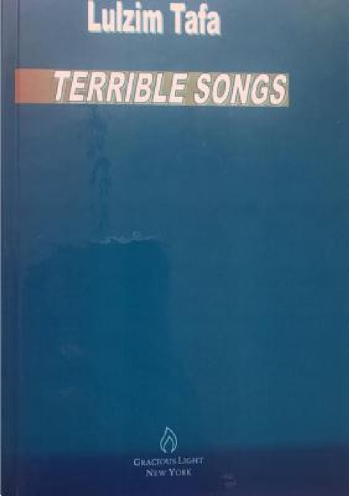 Terrible Songs by Lulzim Tafa