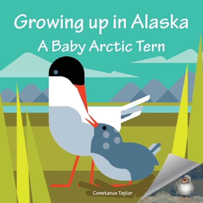 Growing up in Alaska: A Baby Arctic Tern by Constance Taylor, Ben O'Brien, Constance Taylor