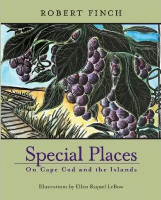 Special Places on Cape Cod & Islands by Finch Robert