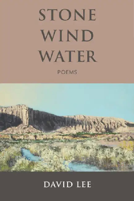 Stone Wind Water: Poems by David Lee