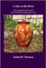 A City on the River: The Early Red Earthenware of the Hartford, Connecticut Area by Thomas, Justin