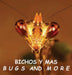 Bichos y Mas: Bugs and More by Georgetee Baker, Ishrani Annamunthodoo