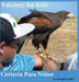 Falconry for Kids: Certería Para Niños by Georgette Baker, Georgette Baker