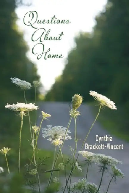 Questions About Home by Cynthia Brackett-Vincent