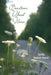 Questions About Home by Cynthia Brackett-Vincent