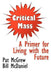 Critical Mass: A Primer for Living with the Future by Pat McGrew