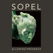 Alluring Presence by Lyle Sopel