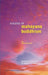 Visions of Mahayana Buddhism: Awakening the Universe to Wisdom and Compassion by Nagapriya