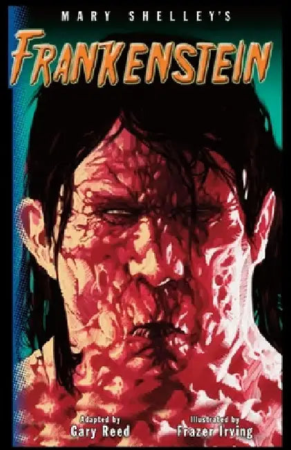 Frankenstein-The Graphic Novel by Mary Shelley
