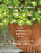 Ibooks Wholesale Catalog, Spring 2019 by J. Boylston