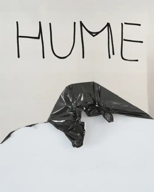 Gary Hume: A Cat on a Lap by Gary Hume