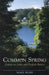 The Common Spring: Essays on Latin and English Poetry by Niall Rudd