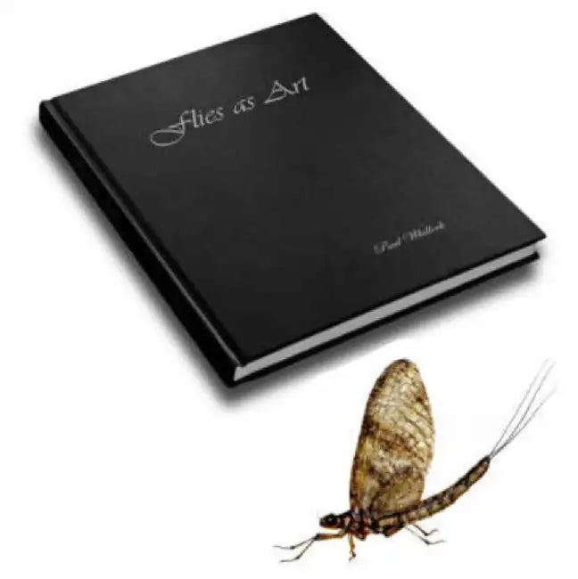 Flies as Art by Paul Whillock