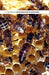 The Introduction of Queen Bees by L. E. Snelgrove, Louis Snelgrove