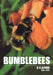 Bumble Bees by D. V. Alford