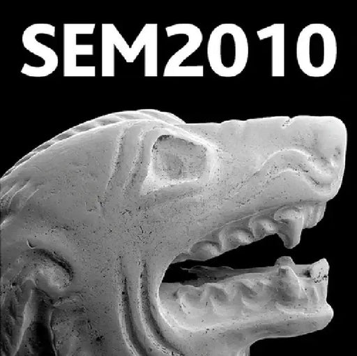 Historical Technology, Materials and Conservation: Sem and Microanalysis by Caroline Cartwright, Andrew Meek, Nigel Meeks