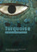 Turquoise in Mexico and North America: Science, Conservation, Culture and Collections by Max Carocci, Caroline Cartwright, Jch King