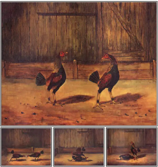 The Breeding and Management of Fighting Cocks by Everard Simpson