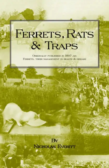 Ferrets, Rats and Traps by Nicholas Everitt