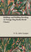 Bulldogs and Bulldog Breeding (a Vintage Dog Books Breed Classic) by H. St John Cooper