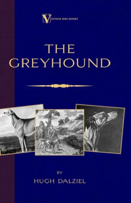 The Greyhound; Its History, Points, Breeding, Rearing, Training and Running (A Vintage Dog Books Breed Classic) by Hugh Dalziel