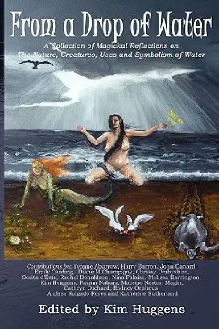 From a Drop of Water: A Collection of Magickal Reflections on the Nature, Creatures, Uses and Symbolism of Water by Kim Huggens