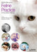 BSAVA Manual of Feline Practice: A Foundation Manual by Andrea Harvey