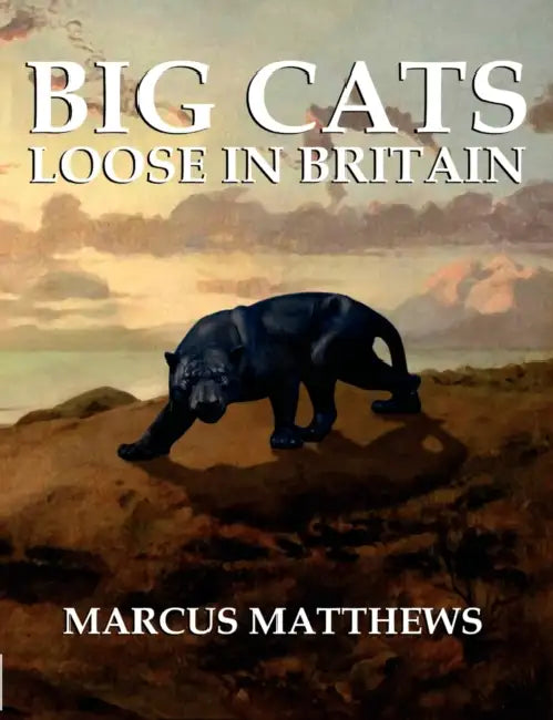 Big Cats Loose in Britain by Marcus Matthews