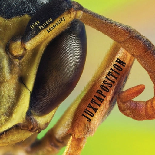 Juxtaposition by Irina Petrova Adamatzky