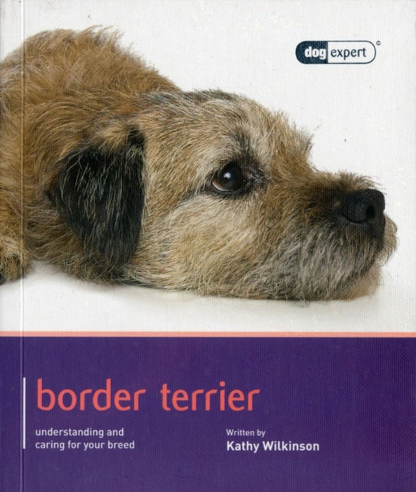 Border Terrier