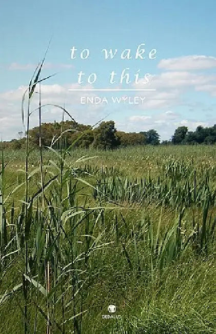 To Wake to This by Enda Wyley