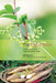 The Light Root: Nutrition of the Future: A Spiritual-Scientific Study by Ralf Roessner