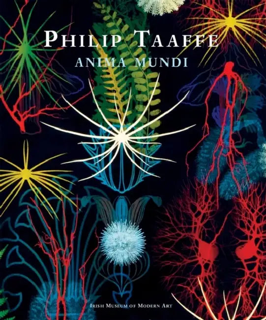 Philip Taaffe: Anima Mundi by Philip Taaffe, Colm Tóibín, Enrique Juncosa