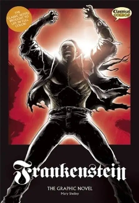 Frankenstein: The Graphic Novel by Mary Shelley