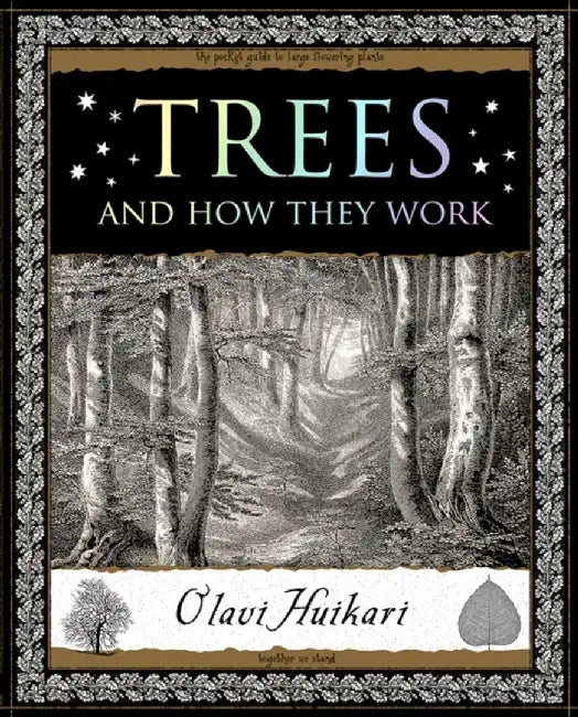 Trees by Olavi Huikari