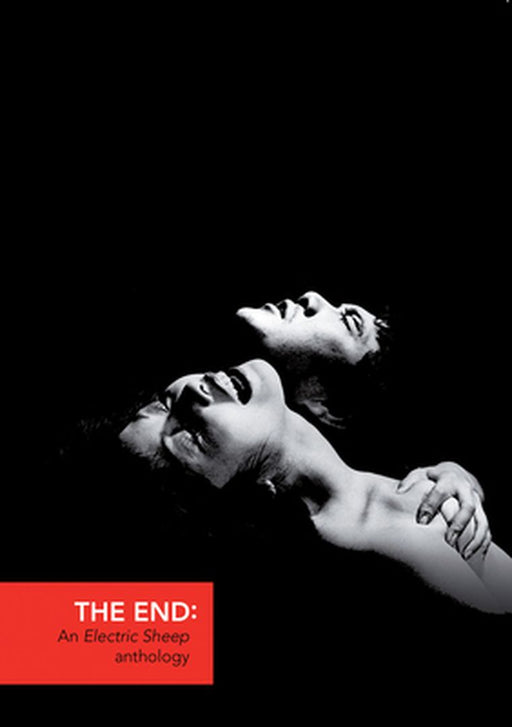 The End: An Electric Sheep Anthology by Virginie Selavy