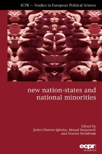 New Nation-States and National Minorities by Julien Danero Iglesias, Nenad Stojanovic, Sharon Weinblum