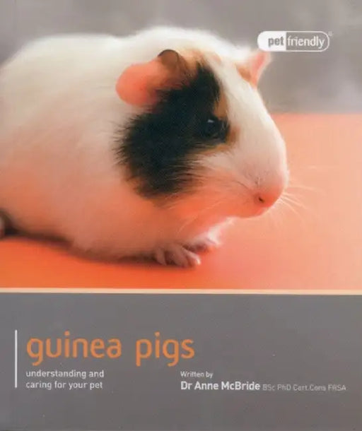 Guinea Pig: Understanding and Caring for Your Pet by Anne McBride
