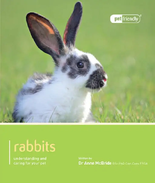 Rabbit by Anne McBride