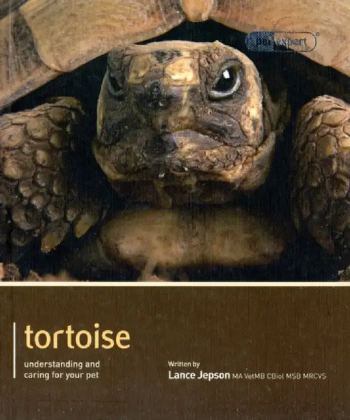 Tortoise by Lance Jepson