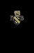 Ordinale Exoniense III: Appendix: Exeter Chapter Mss 3504 and 3505 by John Neale Dalton