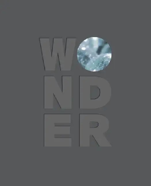 Wonder by Nicholas R. Bell