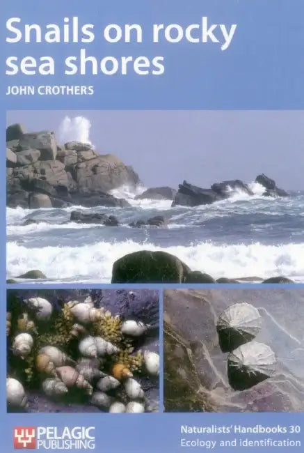 Snails on Rocky Sea Shores by John Crothers