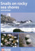 Snails on Rocky Sea Shores by John Crothers