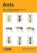 Ants by Gary J. Skinner, Geoffrey W. Allen, Geoffrey W. Allen